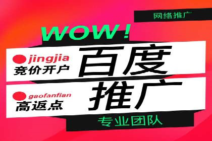 竞价推广成功案例解析
